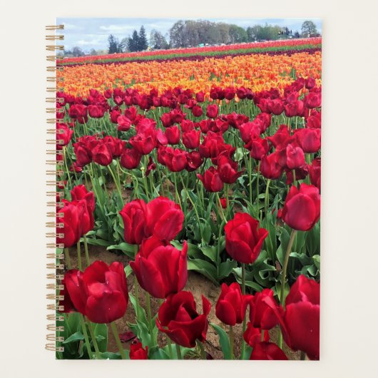 Red & Oranje Tulip Field, Oregon Planner (Voorkant)