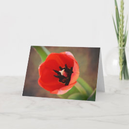 Red Oranje Tulp Flower Art Note Kaart
