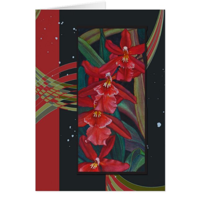 Red Orchid (Voorkant)