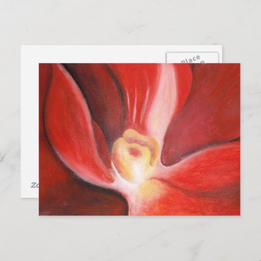 Red Orchid Briefkaart (Voorkant / Achterkant)