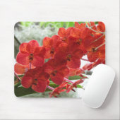 RED ORCHID MUISMAT (Met muis)
