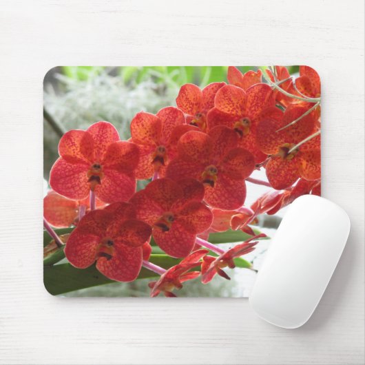 RED ORCHID MUISMAT (Met muis)