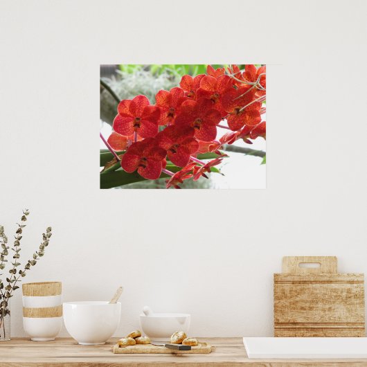RED ORCHID POSTER (Keuken)