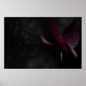 Red Orchid Poster (Voorkant)