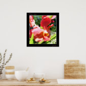 Red Orchid Poster (Keuken)