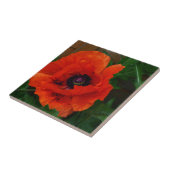 Red Oriental Poppy Tegeltje (Zijkant)