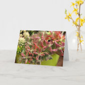 Red Pagoda Succulent card van Debra Lee Baldwin Kaart (Gele Bloem)