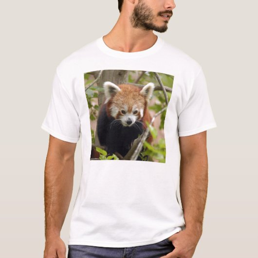 Red Panda-023 T-shirt (Voorkant)