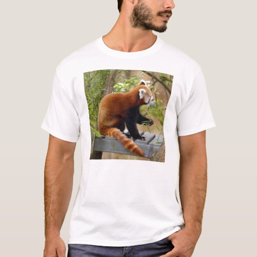 Red Panda-037 T-shirt (Voorkant)