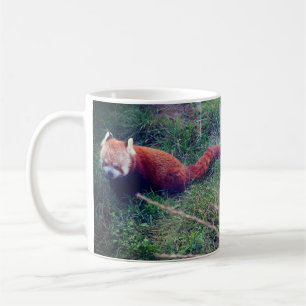 Red Panda #1 Mok