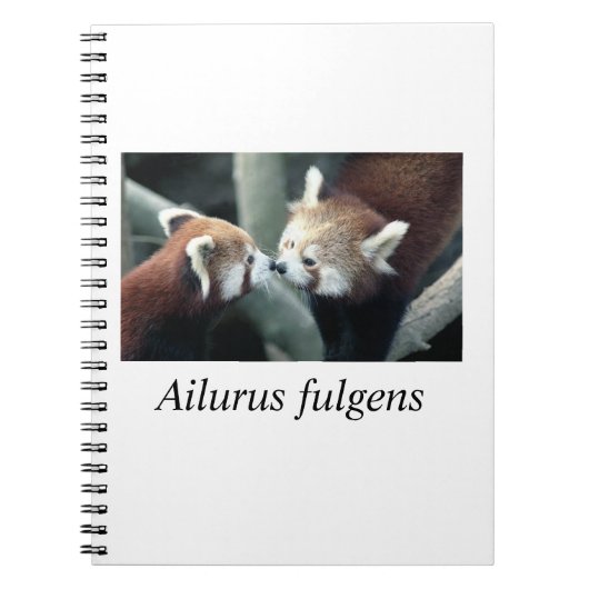 Red Panda#1 Notitieboek (Voorkant)