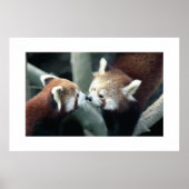 Red Panda #1 Poster (Voorkant)