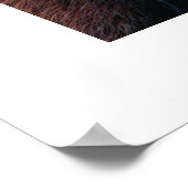 Red Panda #1 Poster (Hoek)