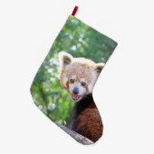 Red_Panda_2015_0306 Grote Kerstsok (Voorkant (Hangend))