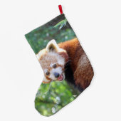 Red_Panda_2015_0306 Grote Kerstsok (Achterkant (Hangend))