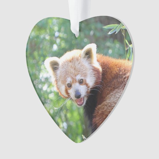 Red_Panda_2015_0306 Ornament (voorkant)