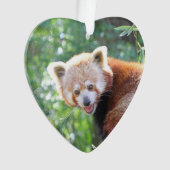 Red_Panda_2015_0306 Ornament (voorkant)