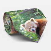 Red_Panda_2015_0306 Stropdas (Opgerold)