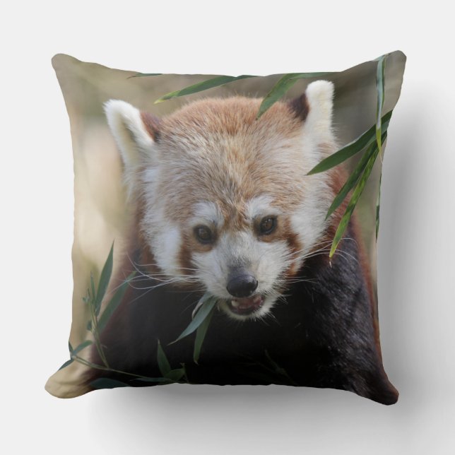 Red_Panda_2015_0311 Kussen (Voorkant)