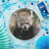 Red_Panda_2015_0311 Papieren Bordje (Feest)