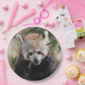 Red_Panda_2015_0311 Papieren Bordje (Feest)