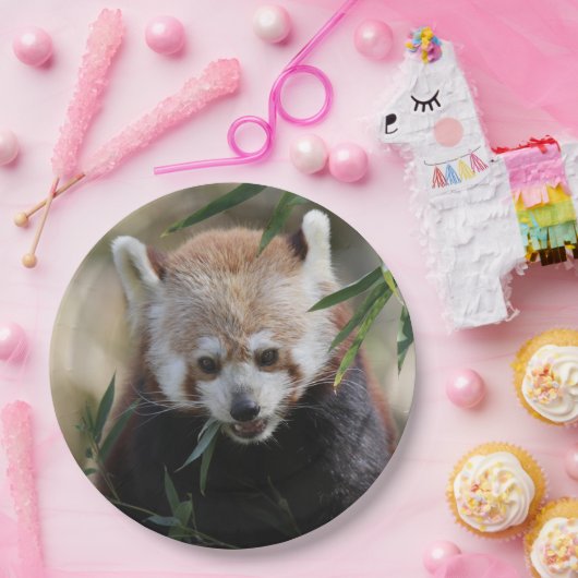 Red_Panda_2015_0311 Papieren Bordje (Feest)