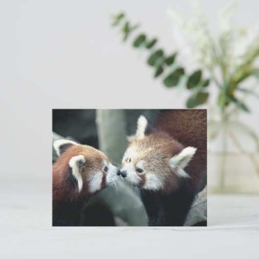Red Panda #2 briefkaart (Staand voorkant)