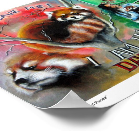 "Red Panda" afdrukken Poster (Hoek)