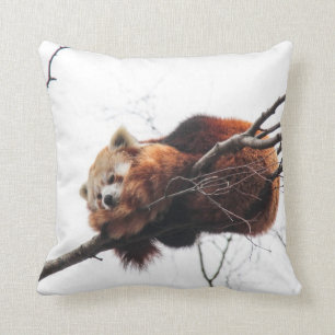 Red Panda American Mojo Pillow Kussen