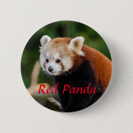 Red Panda Animal Fotografie Ronde Button 5,7 Cm