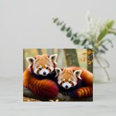 Red Panda Animal Natuur Wildlife Affection Caring Folie Feestdagen Briefkaart (Staand Voorkant)