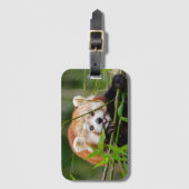 Red Panda Bagagelabel (Voorkant (verticaal))