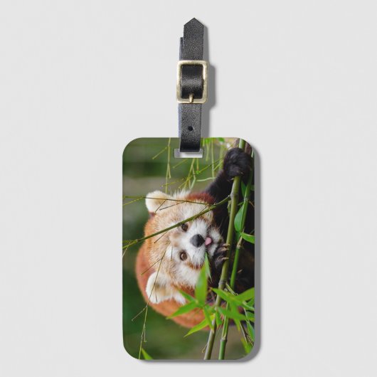 Red Panda Bagagelabel (Voorkant (verticaal))