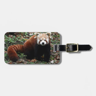 Red Panda Bagagelabel