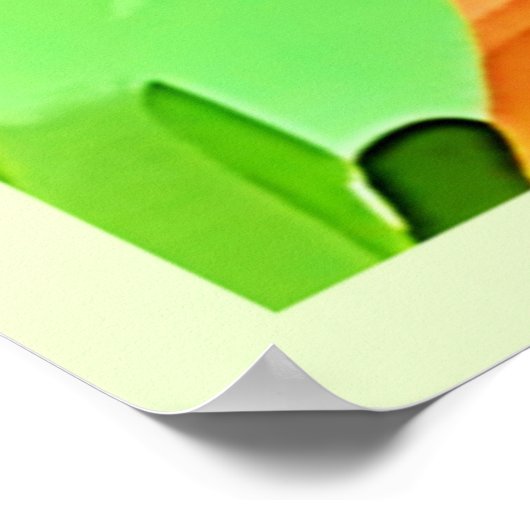 Red Panda Bamboo Forest Poster (Hoek)