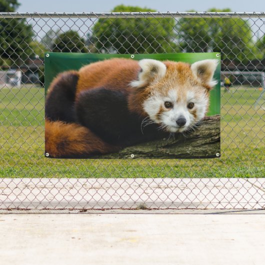 RED PANDA Banner MET GROMMETS (Insitu)