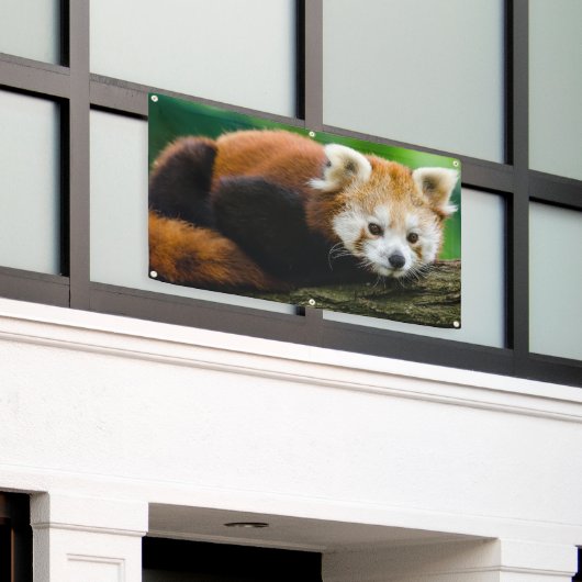 RED PANDA Banner MET GROMMETS (Buitenkant Gebouw)