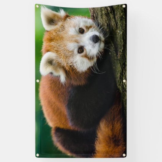 RED PANDA Banner MET GROMMETS (Verticaal)