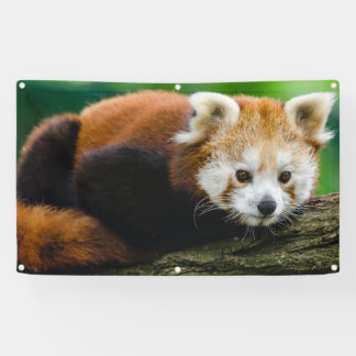 RED PANDA Banner MET GROMMETS