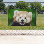 RED PANDA Banner MET GROMMETS (Insitu)