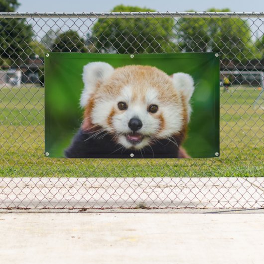 RED PANDA Banner MET GROMMETS (Insitu)