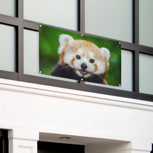 RED PANDA Banner MET GROMMETS (Buitenkant Gebouw)