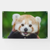 RED PANDA Banner MET GROMMETS (Horizontaal)