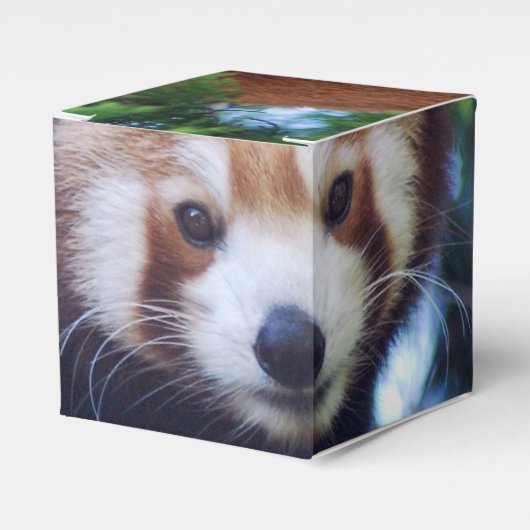 Red Panda Bedankdoosjes (Voorkant Zijde)