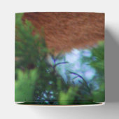 Red Panda Bedankdoosjes (Bovenkant)