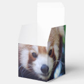 Red Panda Bedankdoosjes (Geopend)