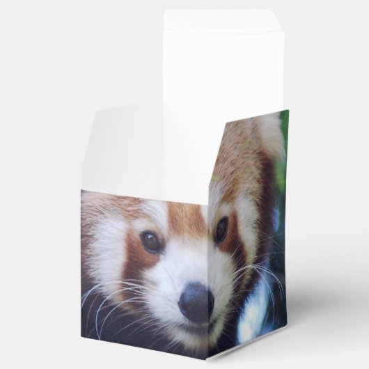 Red Panda Bedankdoosjes (Geopend)
