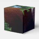 Red Panda Bedankdoosjes (Achterkant)