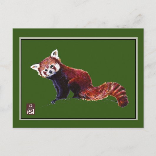 Red Panda Briefkaart (Voorkant)