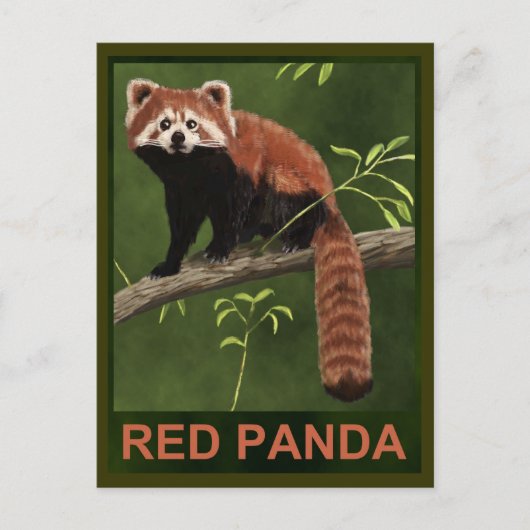 Red Panda Briefkaart (Voorkant)